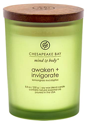 Chesapeake Bay Candle Eucalyptus Scente...