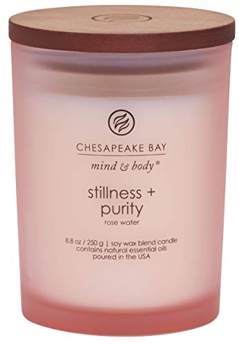 Chesapeake Bay Candle Scented Candle Stillness + Pur...