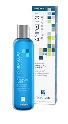 Andalou Aloe + Willow Bark Pore Minimizer