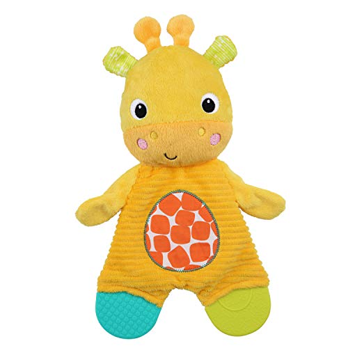 Bright Starts Snuggle & Teethe Plush Teether