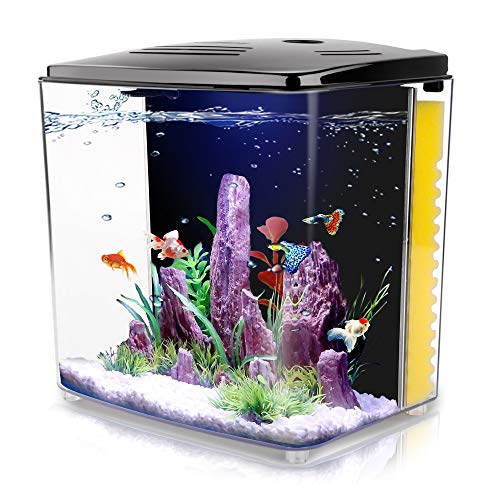 FREESEA 1.2 Gallon Aquarium Starter Kits