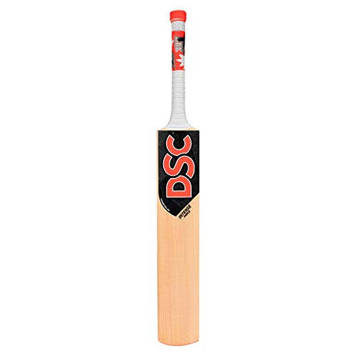 Dsc Intense Force Kashmir Willow Cricket Bat