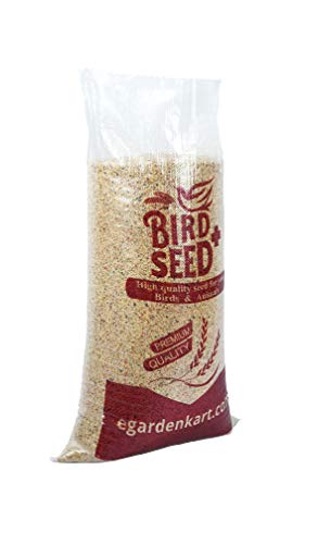 ‎Generic Bird Food