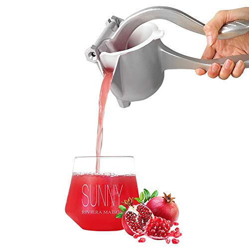 LWLEI Fruit Juicer