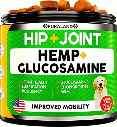 Hemp Hip and Joint Supplement for Dog