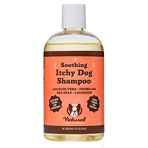 Natural Dog Company Itchy Dog Shampoo