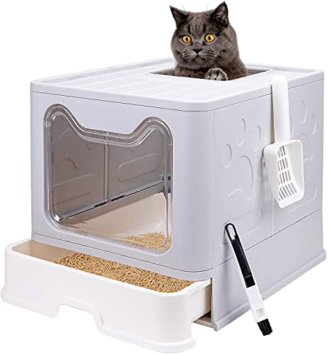 Orchid M TIM Cat Litter Box with Lid