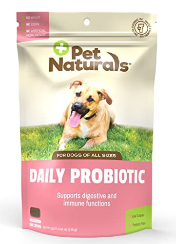 Pet Naturals of Vermont - Daily Probiotic for Dogs