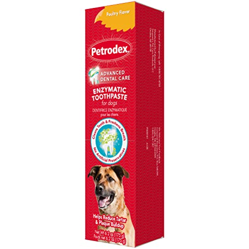 Petrodex Enzymatic Toothpaste for Dogs