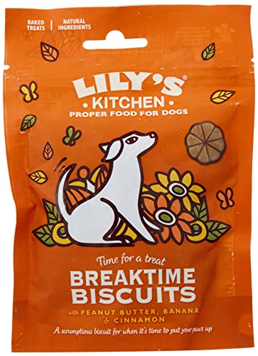 Lily's Kitchen Breaktime Biscuits Dog Treats (80g)