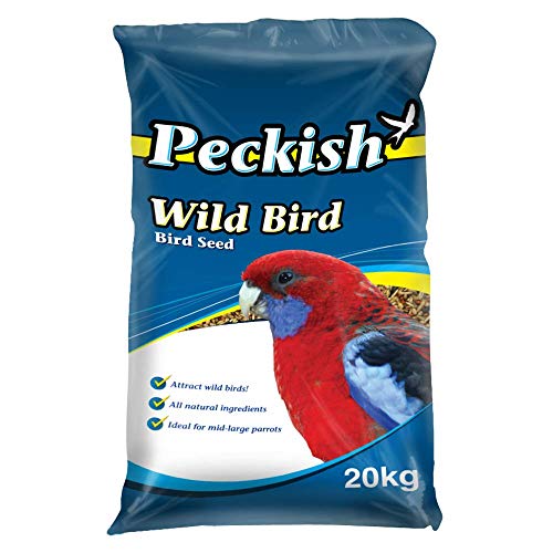 Peckish Wild Bird