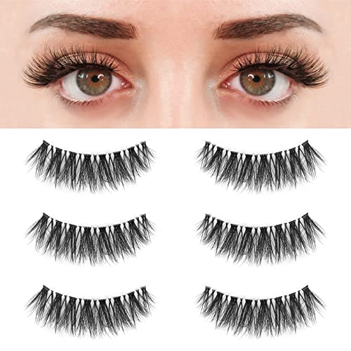 BEPHOLAN False Lashes