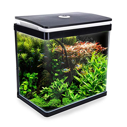 Dynamic Power Curved Glass RGB LED Fish Tank 30L