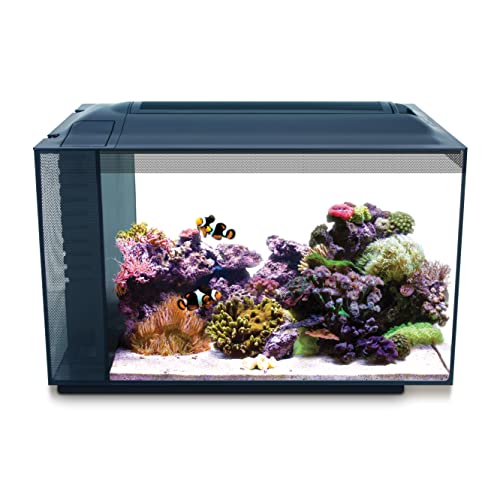 Fluval Sea Evo XII Saltwater Fish Tank Aquarium Kit