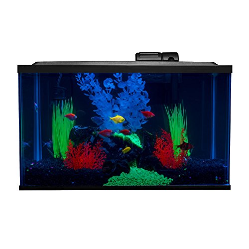 Glofish 10 Gallon Aquarium Fish Tank Kits