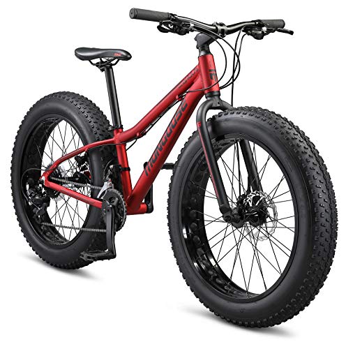 Mongoose Argus Fat Tire Bike