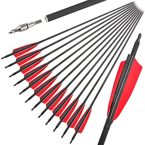 ZSHJGJR 31 Inch Archery Carbon Arrows S...