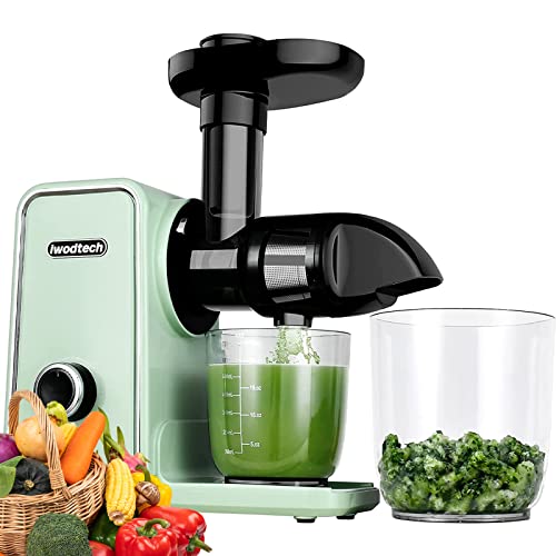 iwodtech Fruit Juicer