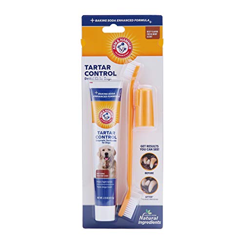 Arm & Hammer Dog Dental Care