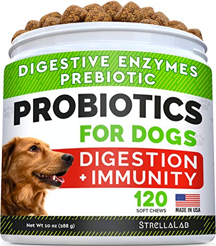 Dog Probiotics Treats for Picky Eaters