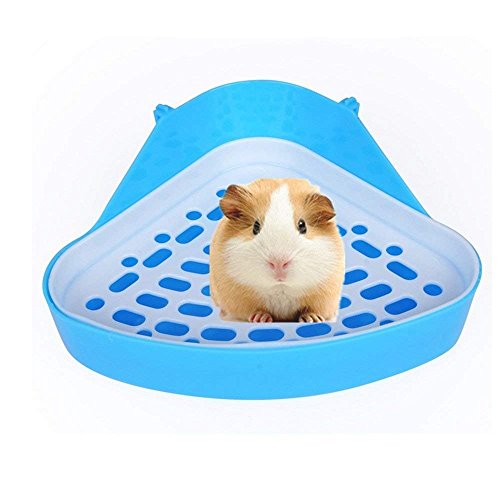 Pet Small Rat Toilet