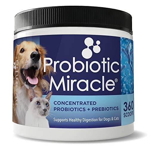 Probiotic Miracle Dog