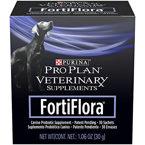 Daily Probiotic for Dogs