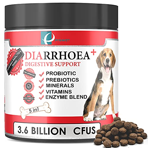 PYRAVET 5 in 1 Diarrhoea & Digestive Support