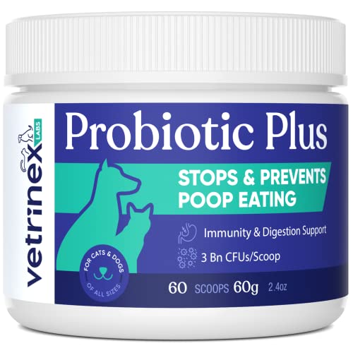 Vetrinex Labs Probiotic