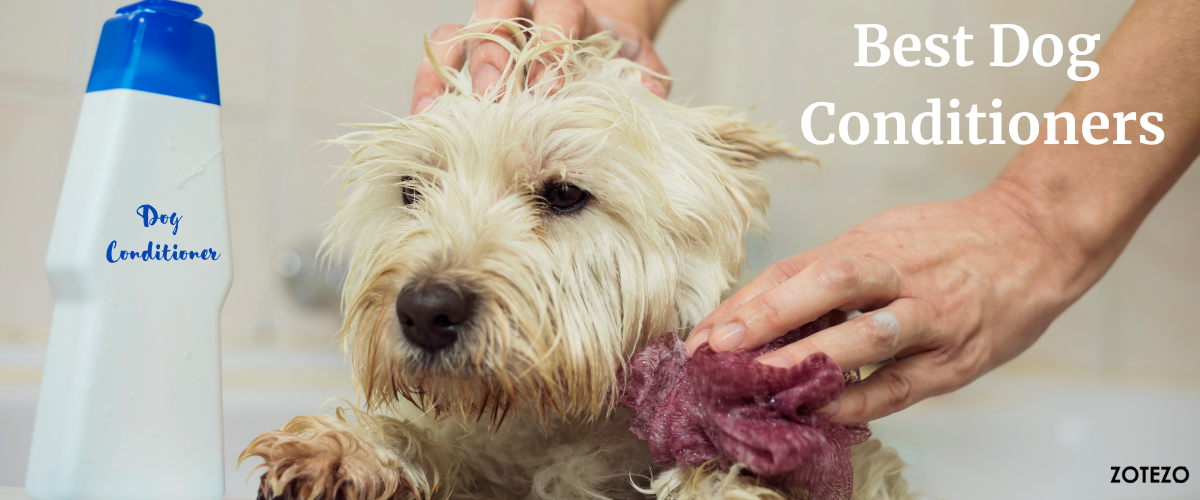 Dog Conditioners in Canada