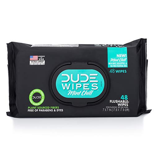 Dude Wipes Flushable Wet Wipes Dispenser