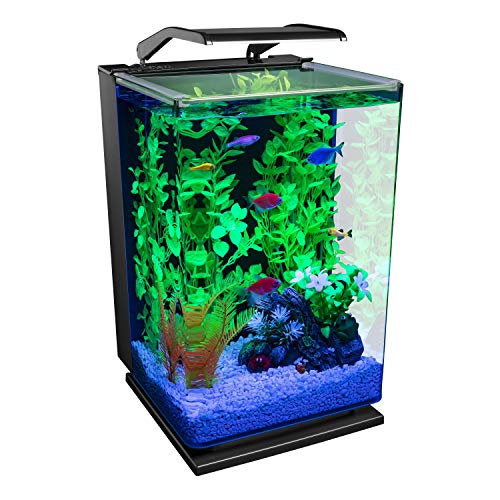 GloFish Aquarium