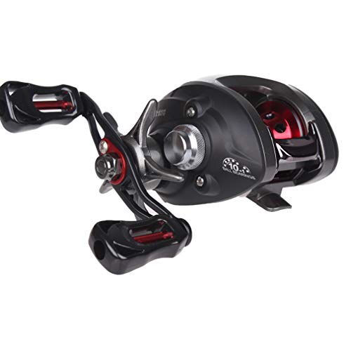 Diwa Baitcasting Fishing Reels