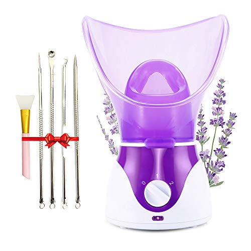 VASTOM Facial Steamer