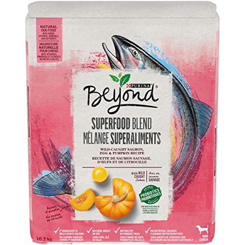 Beyond Superfood Natural Dry Dog Food