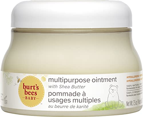 Burt’s Bees Baby Multipurpose Oin...