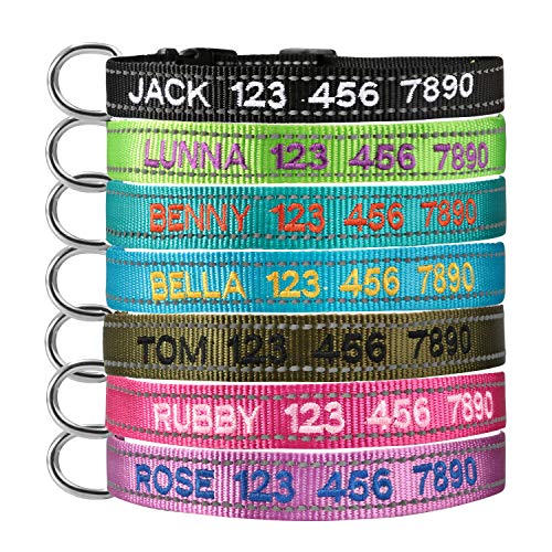 Personalized Dog Collar Adjustable Dog Collar