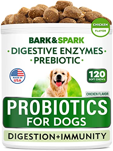 Dog Probiotics Chews