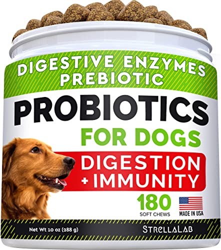 Dog Probiotics Treats for Picky Eaters