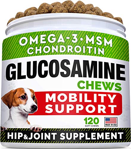 Glucosamine for Dogs