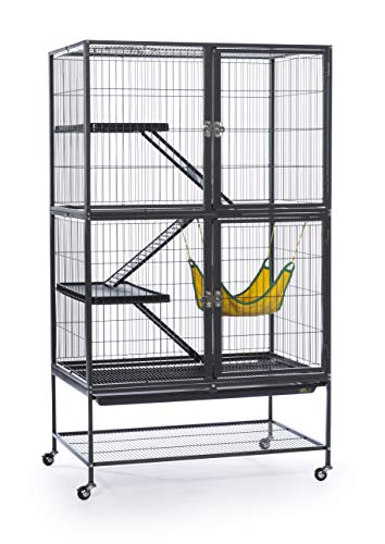 Prevue Hendryx Pet Products Feisty Ferret Home with ...