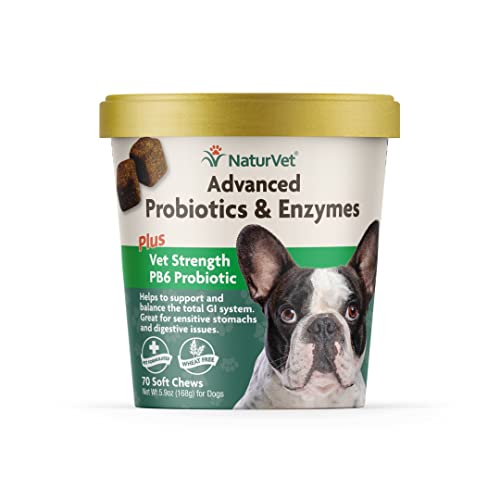 Veterinarian Strength Advanced Probiotics