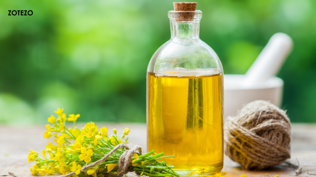 The 6 Best Canola Oils of 2024 in Germany : A Dietitian’s Picks