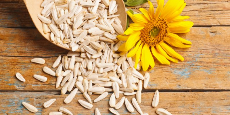 Sunflower Seeds in Germany