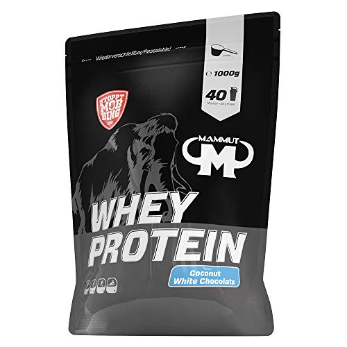 Bodylab24 Protein Powder Whey Protein Chocolate-Coconut