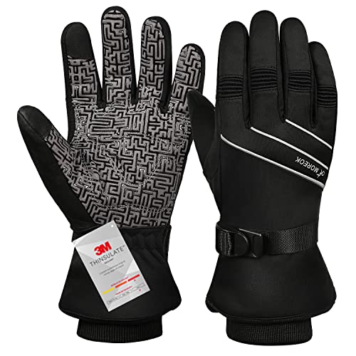 BIKINGMOREOK Winter Gloves, -30°F 3M Thinsulate Ski ...