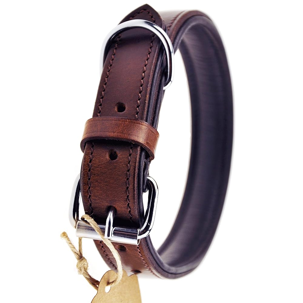 Leather Dog Collar for All Sizes