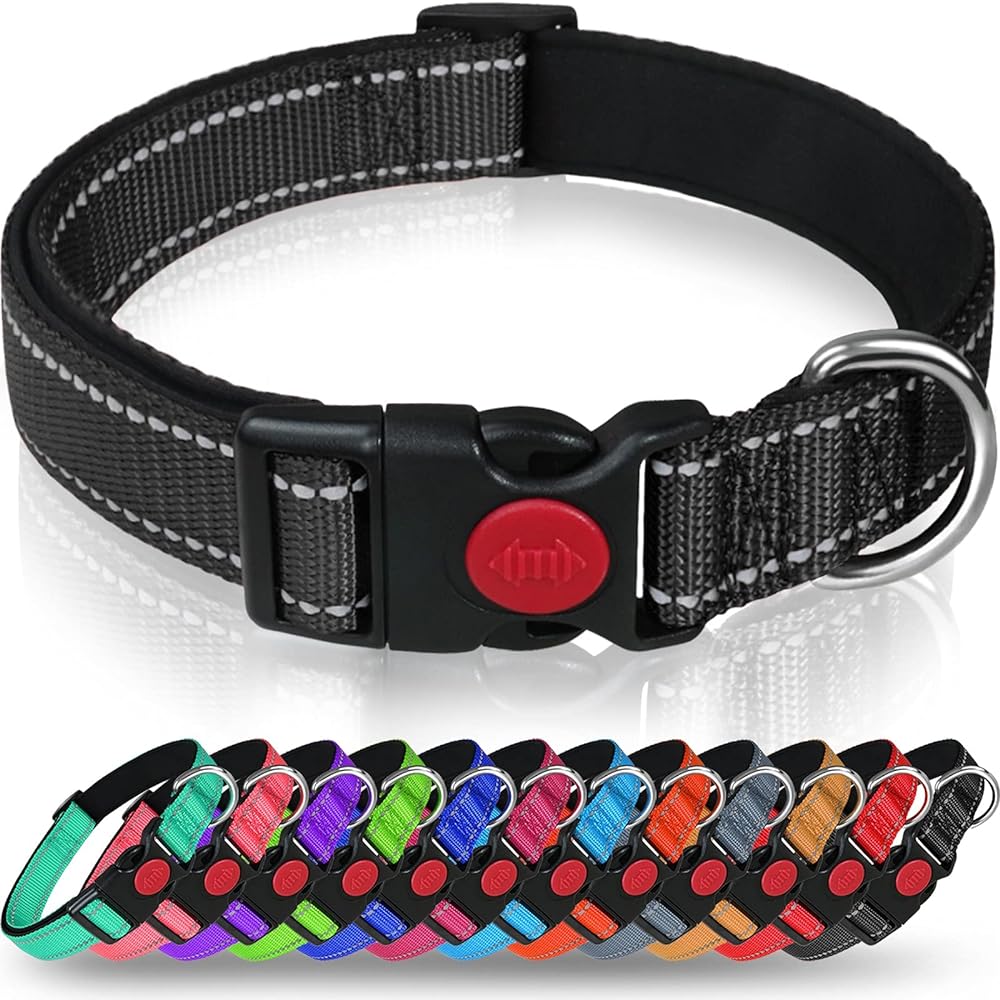 Taglory Neoprene Nylon Dog Collar