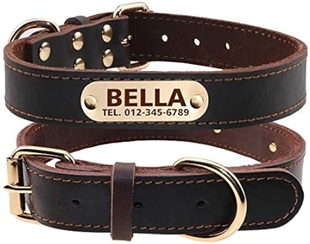 TagME Personalized Leather Dog Collar