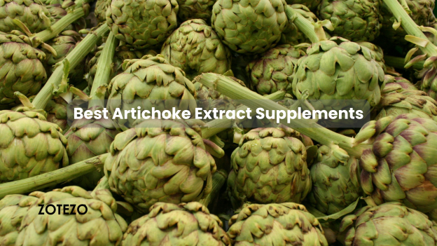 A Dietitian’s Picks of the 7 Best Artichoke Extract Supplements of 2024 available in Spain